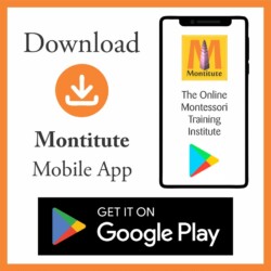 montitute-mobile-app-s-1